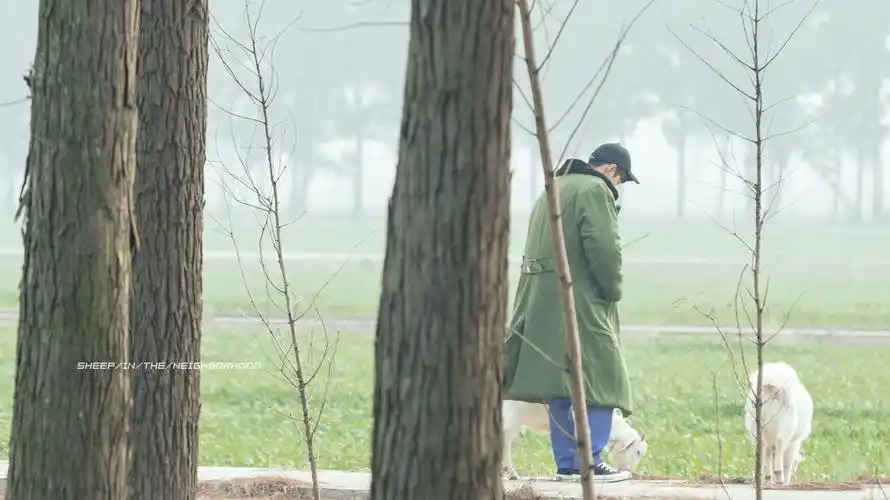 张艺兴 - 堆糖,美图壁纸兴趣社区