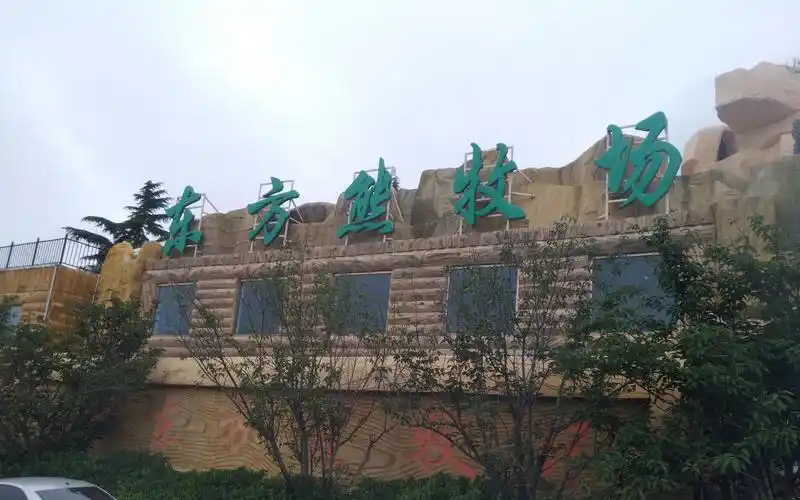 青岛东方熊牧场表演