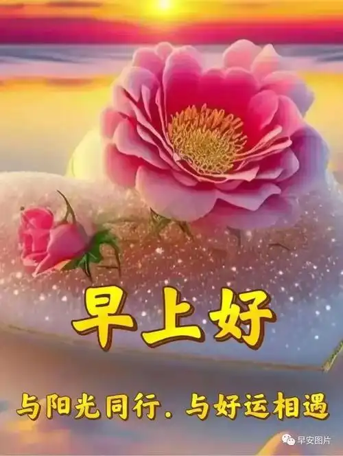 6月29日早上好漂亮图片祝福