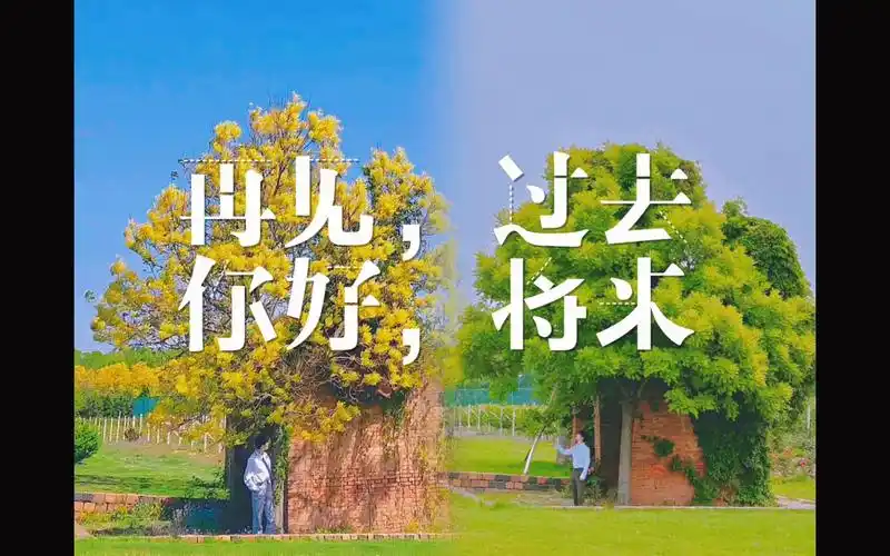 活动  【马嘉祺】再见,过去.你好,未来.