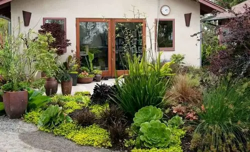 国外这个多肉园,美哭了许多人!