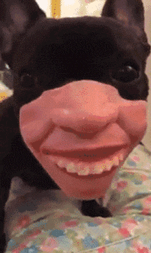 220_369gif 动态图 动图