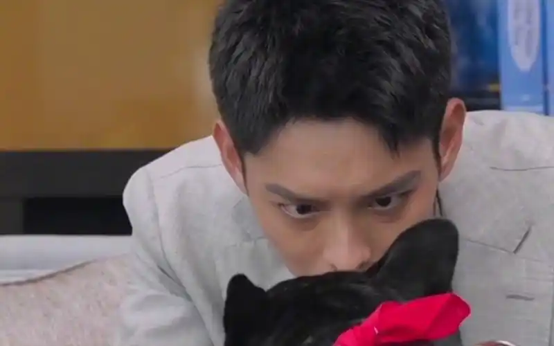 醋坛子厉腾,太可爱了!