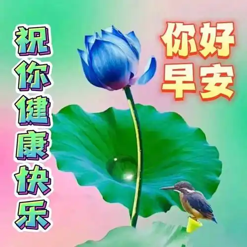 7月27日周四早上好,精选早安祝福创意表情包图片带字带问候语录_朋友