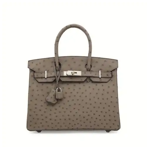 爱马仕birkin  #爱马仕购买攻略  #稀有皮  #最爱的包包