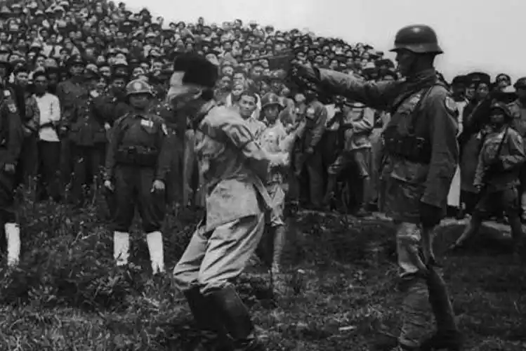 那些著名的历史镜头背后,鲜为人知的故事_刑场_国民政府_朱大同