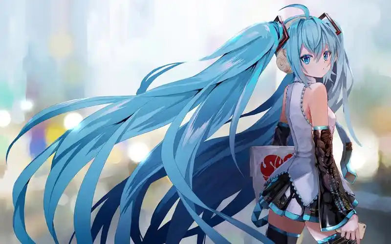 公主殿下初音未来精选高清桌面壁纸