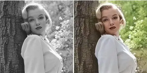 ai城图片上色20黑白照片复原出自然生动的彩色图像