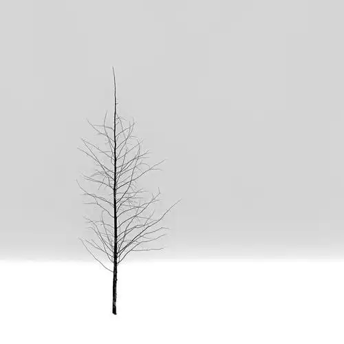 黑白摄影教你拍出触及灵魂之美