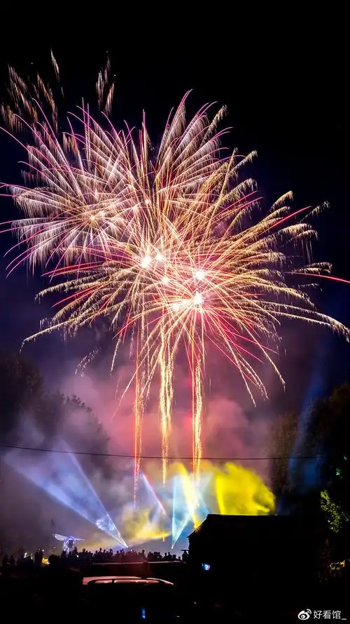 2021年跨年夜壁纸烟花壁纸烟花壁纸唯美图片高清唯美绚烂的烟花图