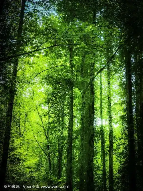 900_1200竖版 竖屏