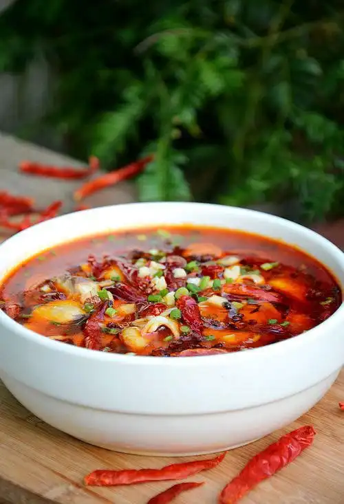 川菜家常菜谱大全 轻松在家diy做川菜