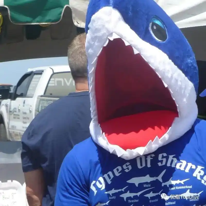 一名潜水员在佛罗里达威尼斯海岸发现巨大的鲨鱼牙齿