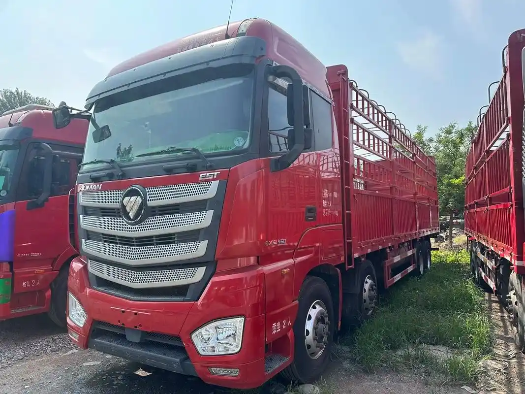 6米高栏载货车.#前四后八九米六高栏载货车,20 - 抖音