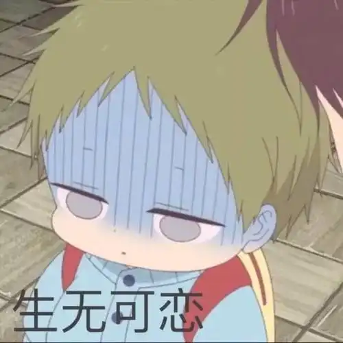 还有没有这个二次元小男孩的表情包啊?
