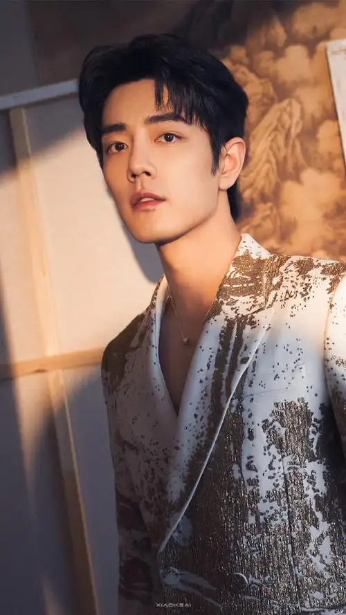 肖战深v真空西装