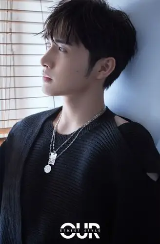 张彬彬干净优雅写真图片26