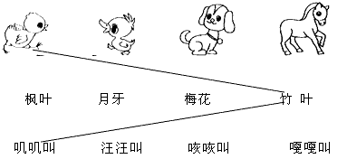 小鸡画竹叶 ____________ ____________ ____________小鸡叽叽叫