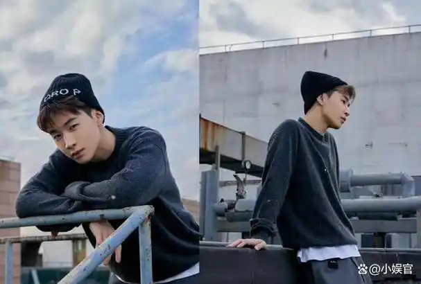 刘宪华,一位才华横溢的音乐人,以其独特的风格和出色的才华在国际乐坛