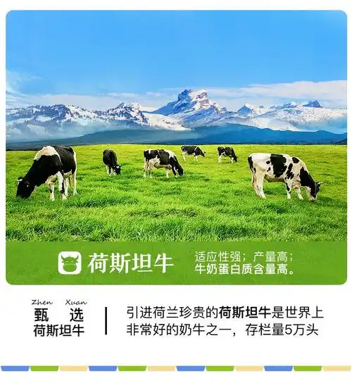 西牧天山纯牛奶新疆天山牧场全脂牛奶儿童营养早餐奶整箱天山牧语纯