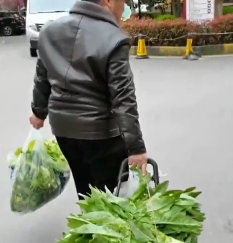 一位大爷左手拎着一袋菜,右手拉着一小推车的青菜,大步向前回家,引起