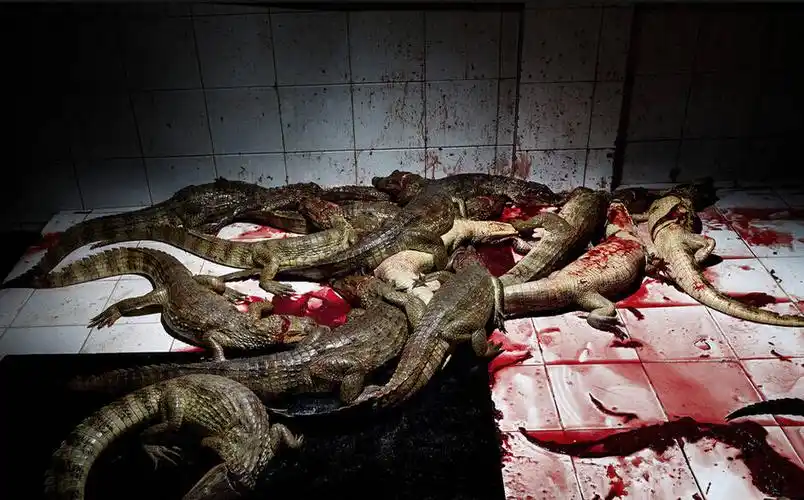 时装品牌工业 虚荣背后的血腥代价