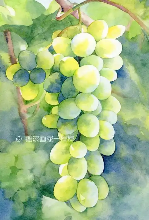 水彩葡萄系列~ by@摇滚画家-慢慢#水彩##手绘
