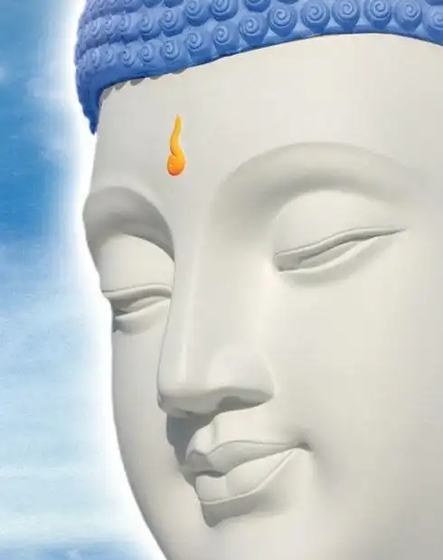 此为佛之白毫相. 白毫宛转五须弥,绀目澄清四大海.