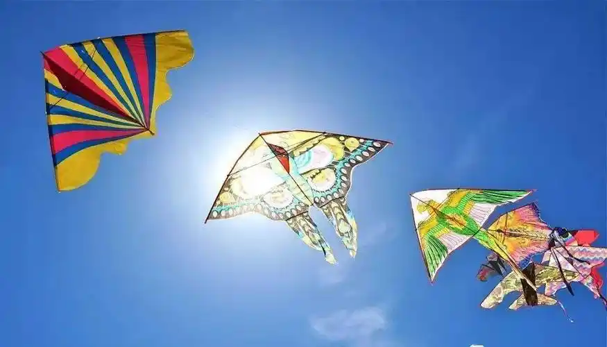 春日在宿迁,忙趁东风放纸鸢_风筝_孩子_公园