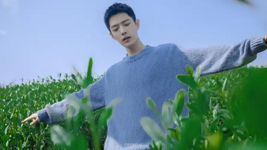 肖战- 堆糖,美图壁纸兴趣社区