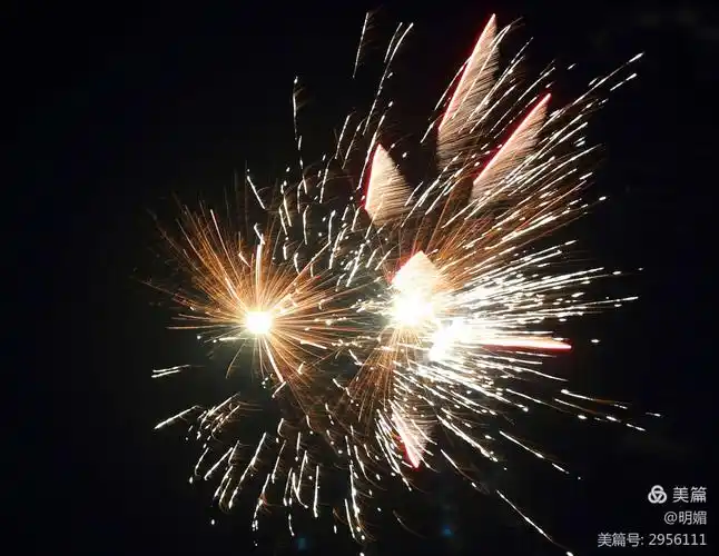 烟花璀璨迎新春 ——2021年除夕烟花摄影