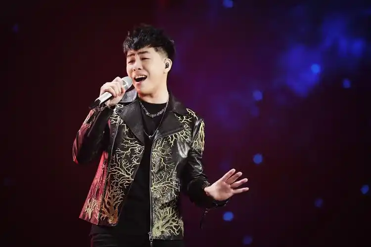 【胡彦斌】【图片】天赐的声音第十一期