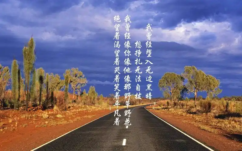 专业提供微博买点赞,空间刷访客,快手直播人气,抖音上热门,厘米秀刷