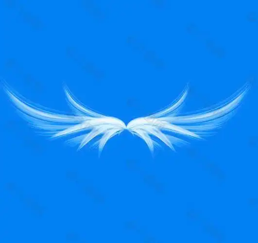 梦幻的翅膀图片