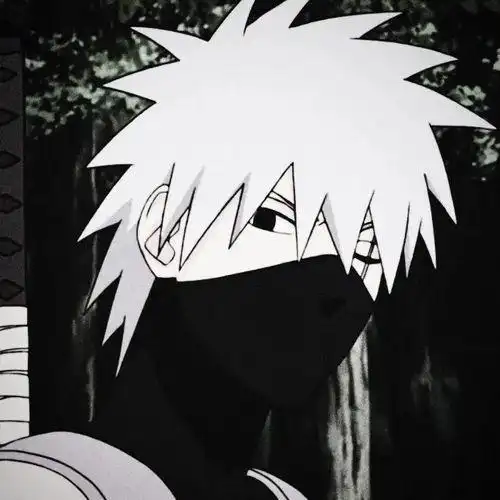 蒙面忍者头像图片大全 - 搜狗图片搜索