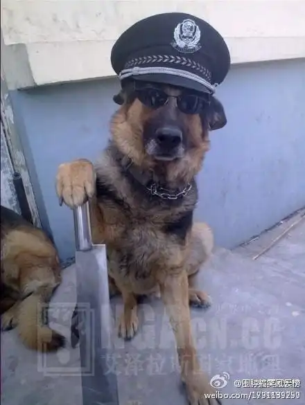 [一图流] [蛋蛋的忧伤] 还我以前的14厅~~~你们的一切话题都弱爆了!