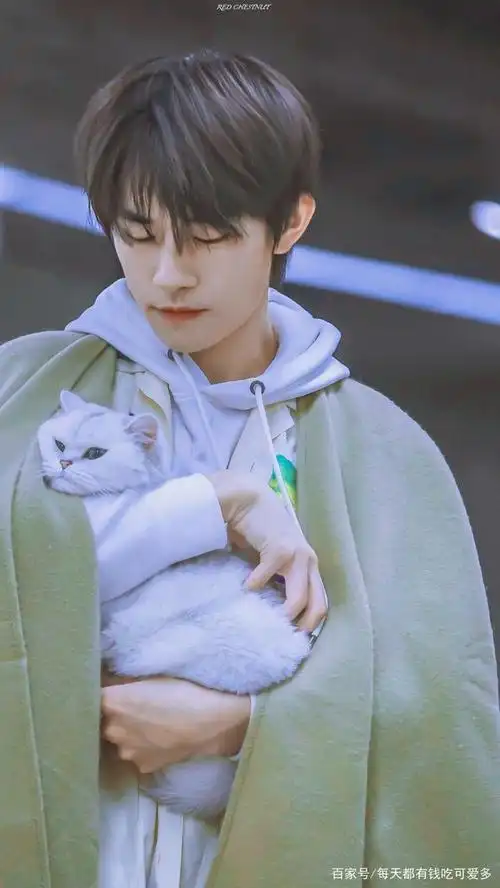 易烊千玺抱猫超温柔,网友:想做他怀里的那只猫!