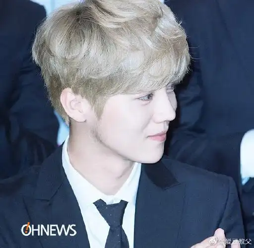 鹿晗银发#鹿晗参加活动 银色造型太好看了 多多营业啊