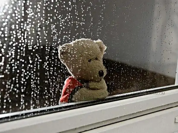 可不可以在下雨天把我领回家帮我擦干淋湿的头发喂我喝碗姜汤 我想我