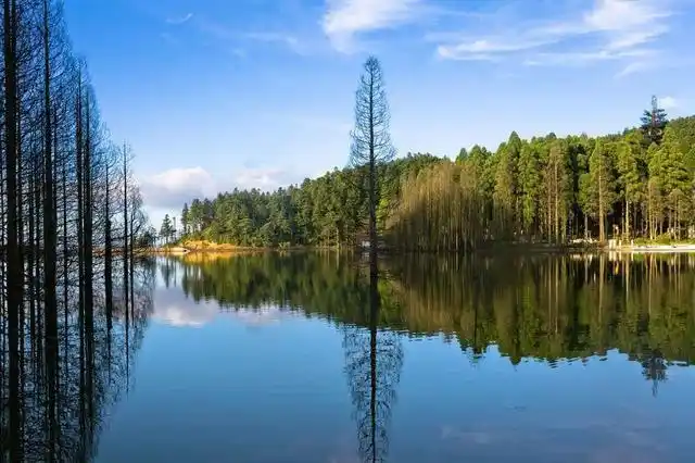 最值得收藏丨"明月处处有,宜春月最明"明月山游览攻略