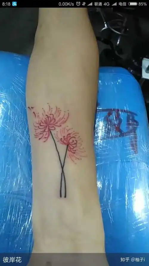 第一次纹身,前几天纹的,因为对爱情的绝望,希望自己不会后悔.