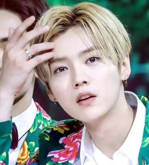 各方面的能力都非常突出,所以人气一直非常高,在exo最火的那两年,鹿晗