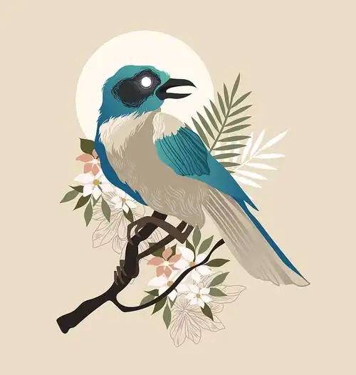 伯劳鸟插画_伯劳鸟手绘插画设计网