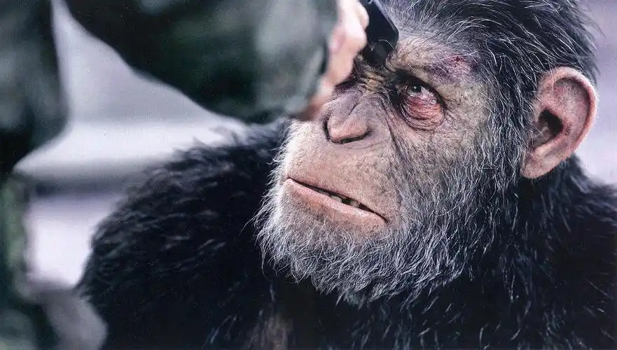 不是怕ai,人类只是怕比自己强大的物种