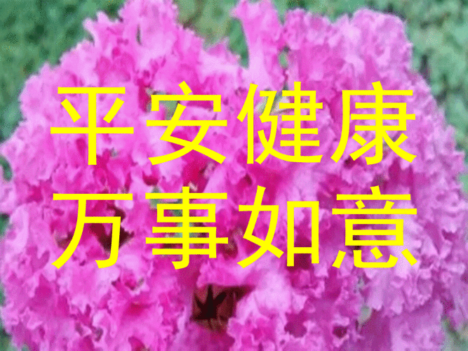 太美了,请收下|安康|吉祥|财源_新浪新闻