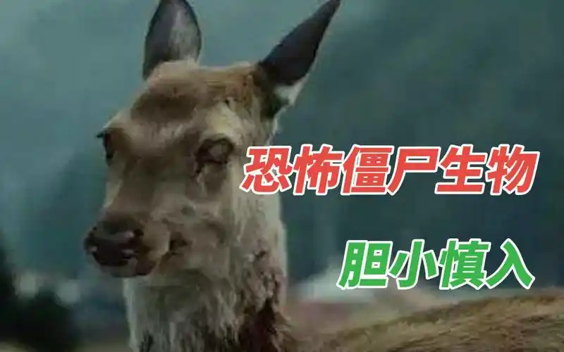 全球最恐怖僵尸生物,看完令人战栗,胆小慎入_哔哩哔哩_bilibili