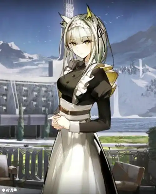 凯尔希你的女仆装是不是垫了