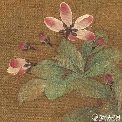 赵昌花卉四段图卷折枝海棠栀子芙蓉梅花工笔花鸟画赏析