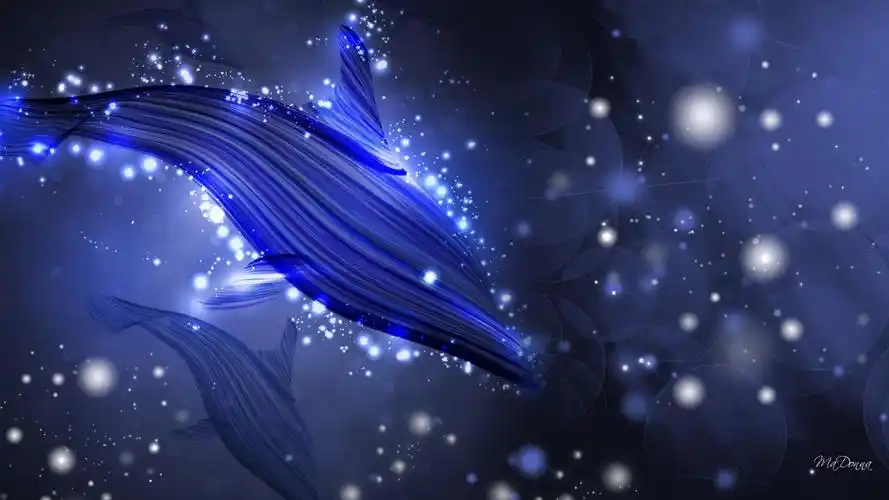 海豚灯高清桌面壁纸:宽屏:高清晰度:全屏