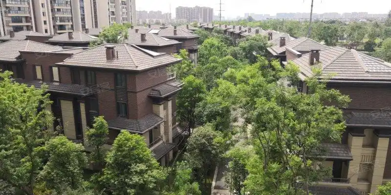 龙湖源著(二期别墅),两河西三路,近两河二街-成都龙湖源著(二期别墅)